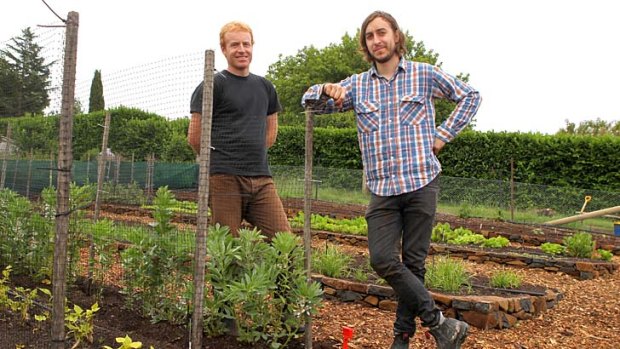 On trend: chefs Daniel Puskas, right, and James Parry grow vegetables near Mittagong and herbs at their new restaurant in Sydney.