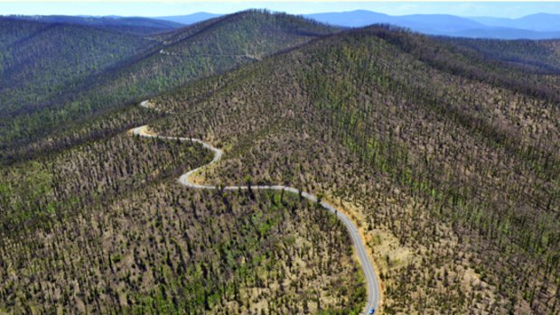 The road to Kinglake a year after the Black Saturday Bushfires.