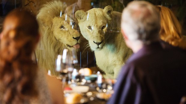 Mealtimes take on a whole new dimension at this wildlife-centric lodge.