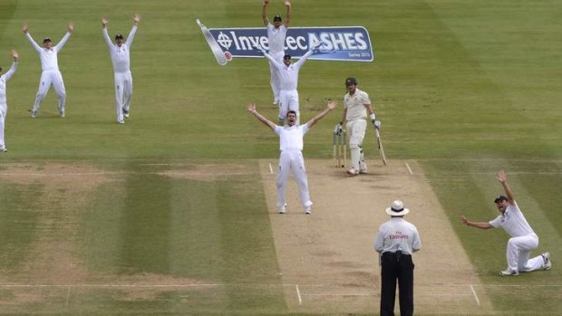Out lbw again: England appeal as Shane Watson  is dismissed.