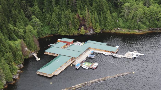 Floating home: The Knight Inlet Lodge provides guests with a chance to tell their wildlife-spotting takes while keeping them safe from the inlet's other residents.