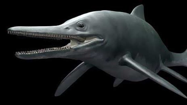 An ichthyosaur.