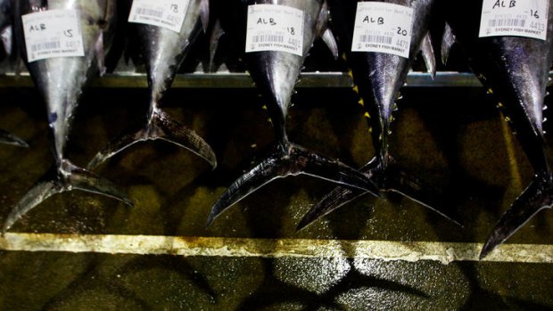 Clean Seas Tuna has issued dispute notices to its feed suppliers over the loss of kingfish worth millions of dollars.