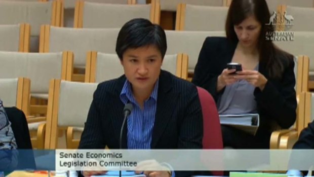 Meow ... a screen grab of Penny Wong in Parliament today.