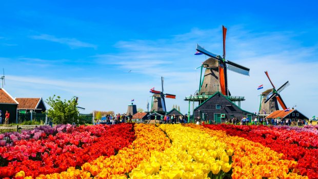 Zaanse Schans is home to 11 working windmills.