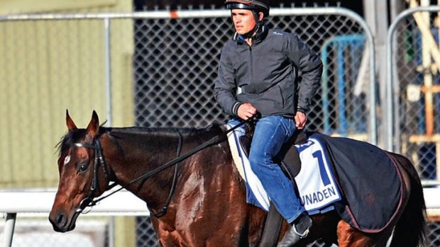 Lined up: Melbourne Cup favourite Dunaden at Werribee on Sunday. The Reserve Bank may also deliver the goods.