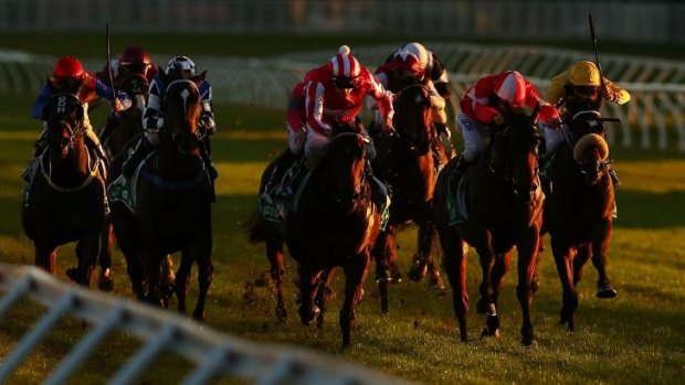 "Unfair surface": The grass at Randwick is overwatered and has never developed deep roots.