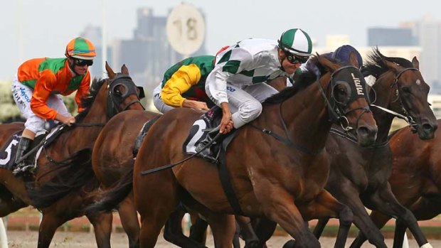 Hot jock: Steven Arnold pilots First Command to victory at Flemington yesterday, giving him the second leg of a double.