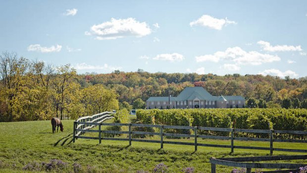 Chateau Des Charmes.