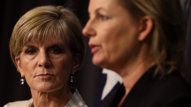 Powerful women: Foreign Affairs Minister Julie Bishop and Health Minister Sussan Ley.
