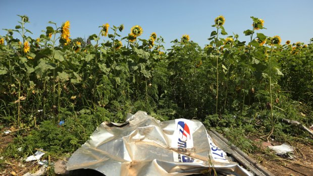 Plane debris at the crash site in eastern Ukraine.