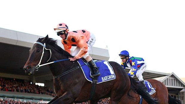 No disgrace: We're Gonna Rock finishes behind Black Caviar in the Goodwood.