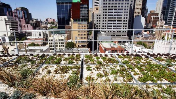 The rooftop garden of the City of Melbourne office building in Little Collins Street.