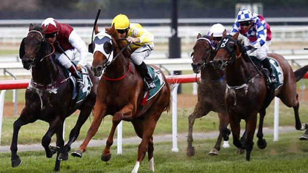 Slipper contenders: Criterion (yellow cap) gets the better of Sidestep in last month's Black Opal Stakes in Canberra.
