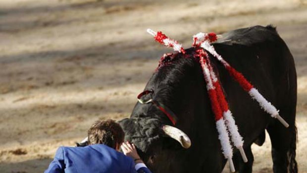 Spanish bullfighter Pablo Hermoso de Mendoza fights a bull at the Plaza de Toros on the first day of the San Fermin festival in Pamplona.