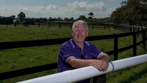 More than Enuff: Ken Keys, trainer of Rich Enuff, at his Devon Meadows stables. 