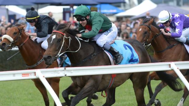 Eye for the line: Ryan Maloney urges Sertorius through to win the Zipping Classic at Caulfield.