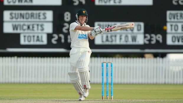 Ticking along nicely: Australia's T20 and ODI skipper Bailey has been in solid form for Tasmania in the Sheffield Shield so far this season.