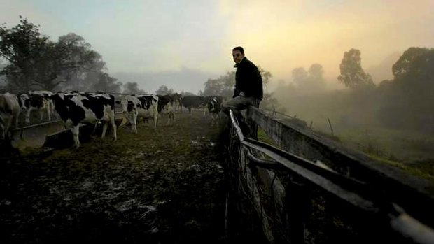 "Our sales went through the roof": Dairy farmer Tom Fairley.