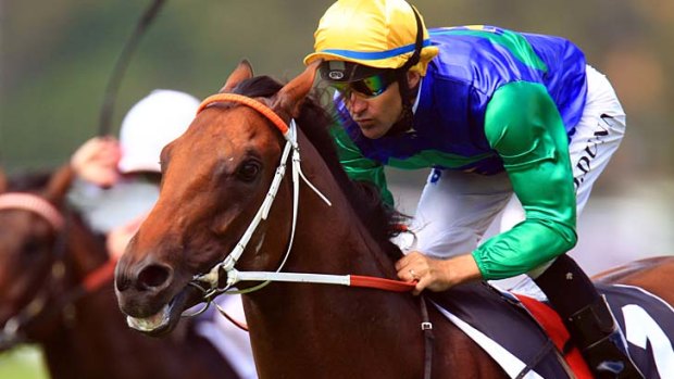 Easy does it: Dwayne Dunn eases down All Too Hard at Rosehill on Saturday.