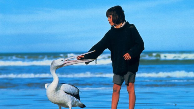 A scene from the film Storm Boy. Mr Percival - one of the pelicans in the 1976 film - has died of old age at Adelaide Zoo aged 33.