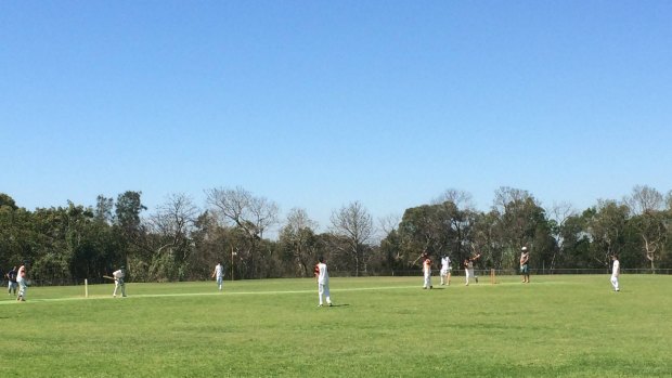 Cricket Australia is encouraging junior cricketers to play this weekend.
