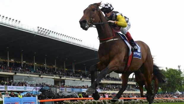 No room for sentiment: Bart Cummings' sole Melbourne Cup entrant Precedence is unlikely to make the final cut.