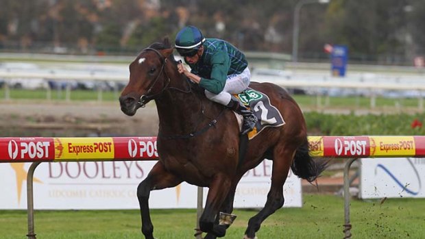 Foxwedge has been invited to contest the group 1 sprints in England in June and July.