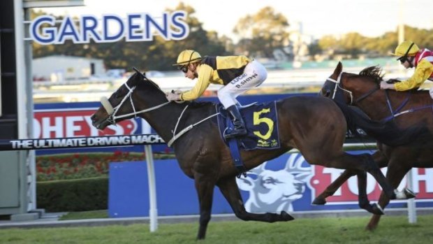 Never say never: Blake Shinn pilots You'll Never to victory at Rosehill on Saturday.