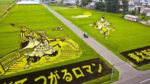 An aerial view of an artfully planted rice paddy in Inakadate, Japan.