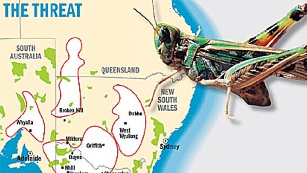 A map showing the locust risk zone.