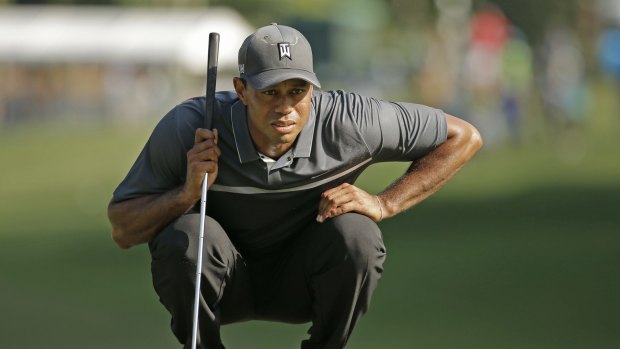 Crouching tiger: Tiger Woods is tied for the lead at Greensboro.