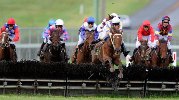 Warrnambool May Racing Carnival.Zendi ridden by Brad McLean leads the pack over the 2nd last jump in the Sungold Milk Galleywood Hurdle (race 5). 4 May 2011.Picture Sebastian Costanzo.