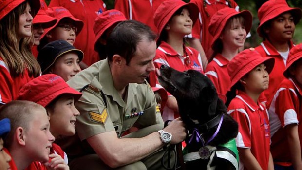 Just for licks  ... Sarbi, an explosives detection dog with the Australian Army, shows her affection to a dog trainer, Corporal Adam Exelby, after receiving her Purple Cross.