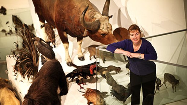 Melbourne Museum's Kate Phillips (above) has no problems with being described as a ''curator''.