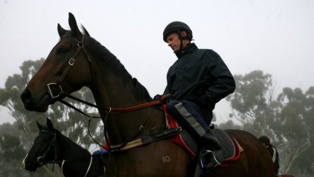 Back to Goulburn: Trainer Danny Williams is back in action is his home town.