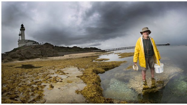 Citizen scientist Bob Burn's fascination with marine mollusc has seen him scour the Victorian coastline.