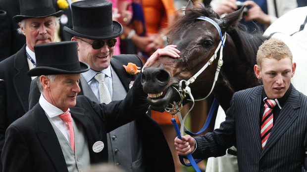 How was that? Neil Werrett with Black Caviar after her win in the Diamond Jubilee Stakes at Royal Ascot last June.