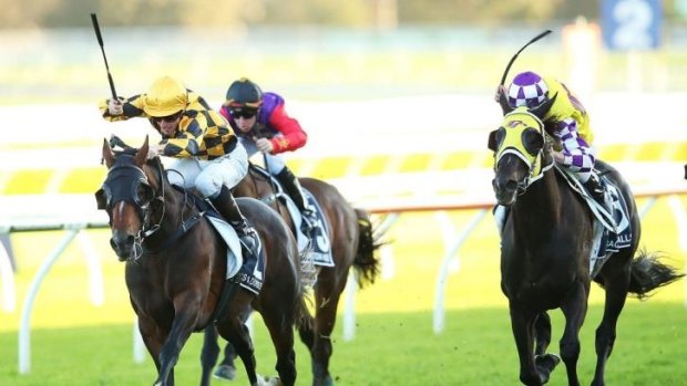 Too good: James McDonald pilots It's A Dundeel to victory in Saturday's Queen Elizabeth Stakes, a race which proved to be the champion four-year-old's swansong.