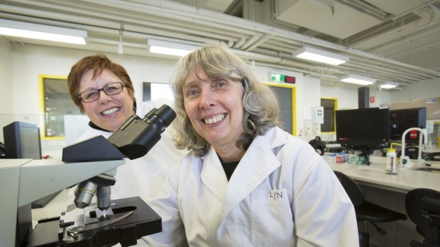 Doors opened: Lynette Saint, right, and her former lecturer Danilla Grando in one of RMIT's science lab. Ms Saint left school at 15 but began an OUA science degree in her 50s and now works at RMIT. 