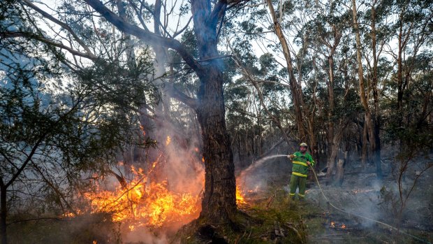 A bushfire that started as a controlled burn destroyed four houses in Lancefield in early October.