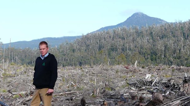 The Wilderness Society's Vica Bayley says the group is suspending its involvement in peace talks as native forest logging continues in Tasmania. .