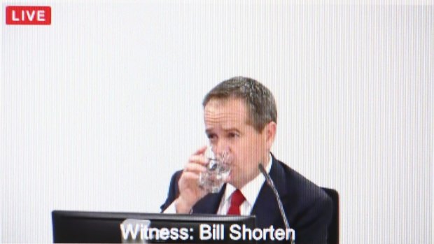 Mr Shorten denied being responsible for misrepresenting the employment of a campaign worker.