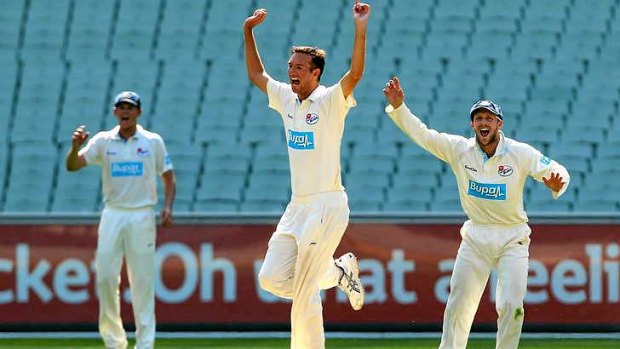 Quiet achiever: Trent Copeland celebrates a wicket against Victoria.