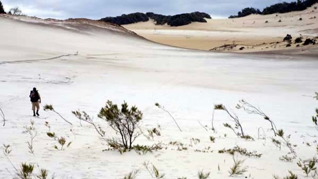 Rainbow connection ... the Cooloola Sand Patch.