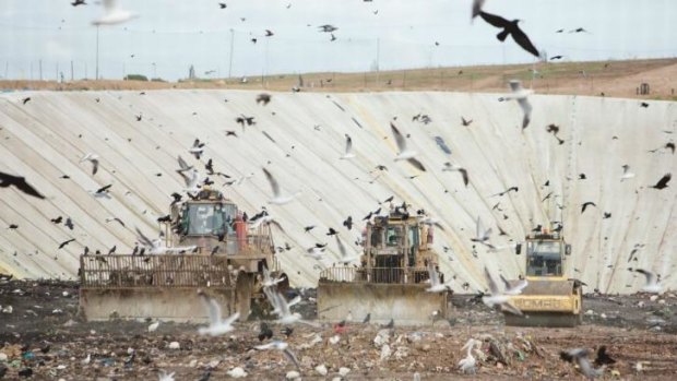 Windfall: Landfill operators stand to profit from levies already collected.