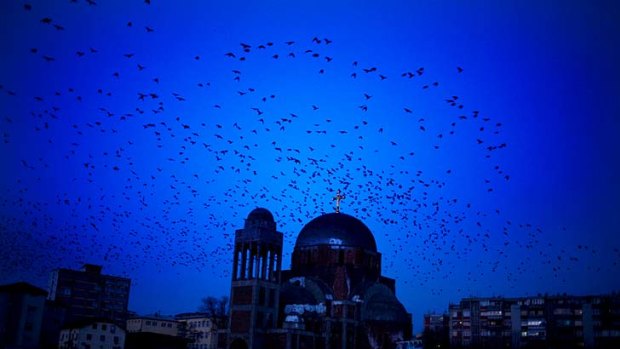 Curious ... birds fly by the abandoned Orthodox Church in Pristina, Kosovo.