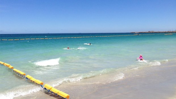 Swimmers take to the water in the safety of Coogee Beach's new shark barrier.