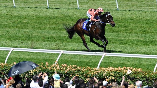 Black Caviar, ridden by Luke Nolen, romps home for her 16th consecutive win.
