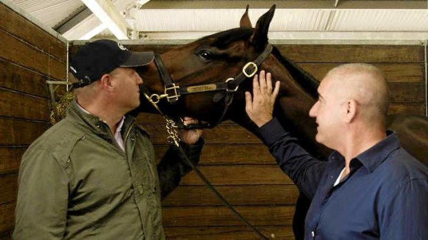 Trainer Danny O'Brien (left) and Bill Vlahos inspect the half-sister to Black Caviar that Mr Vlahos bought for $2.6 million in 2012.